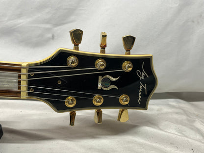 Jay Turser JT-50 Doublecut Electric Guitar