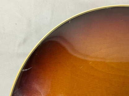 Epiphone Genesis - Image 18