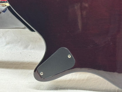 Michael Kelly Hybrid Special Acoustic-Electric Semi-Hollowbody Guitar with Case