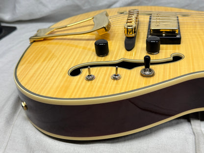 Eastwood Classic 6 TA PH Hollowbody Guitar with Case