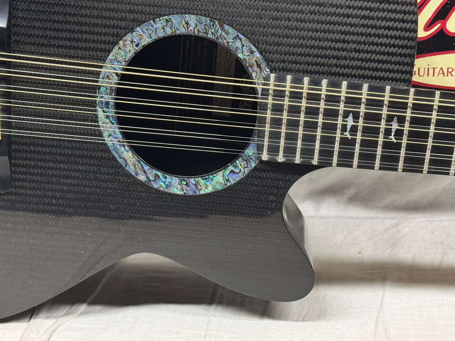 RainSong WS 3000 ws3000 12-string Acoustic Guitar with Case 2004