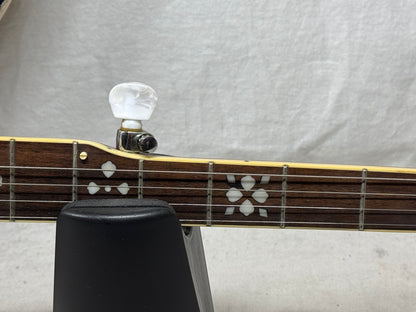 Fender FB-54 fb54 5-string Banjo with Case 2008