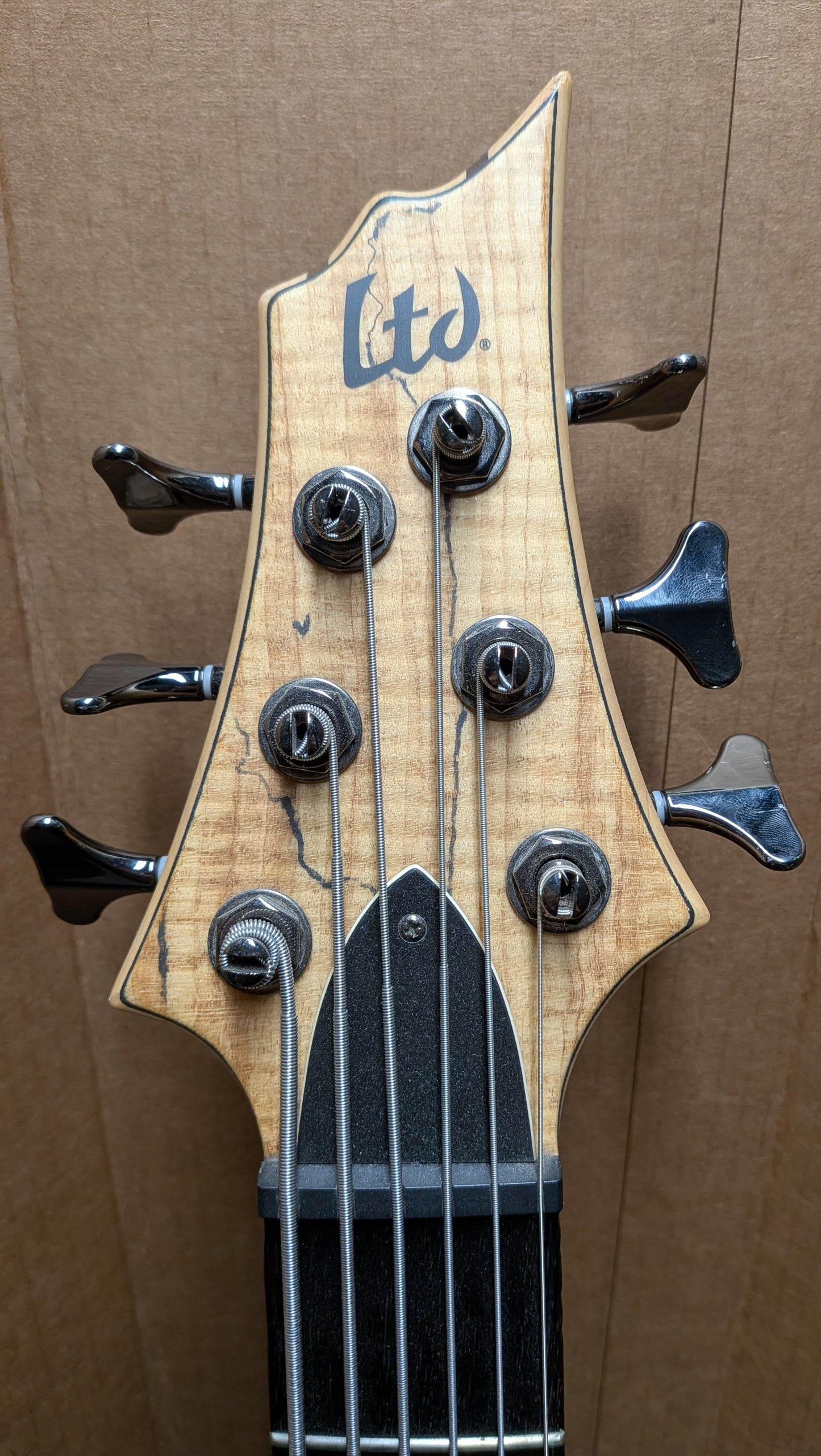 ESP LTD B-206SM 6-String Bass Guitar