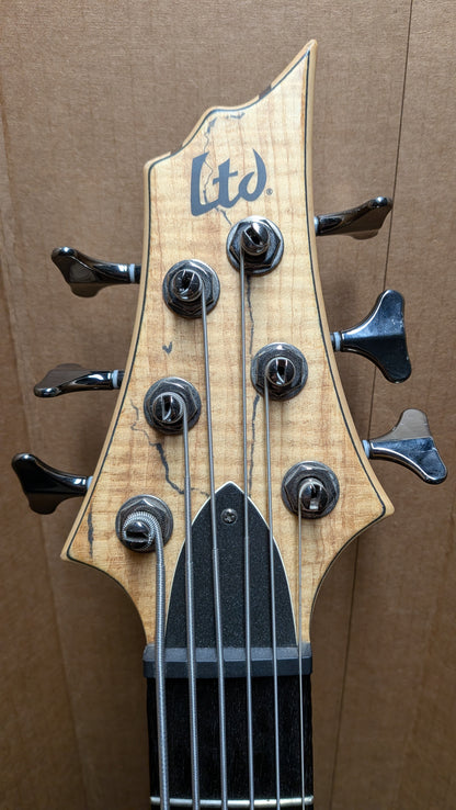 ESP LTD B-206SM 6-String Bass Guitar