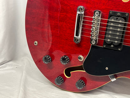 Discovery Semi-Hollow Body Electric Guitar