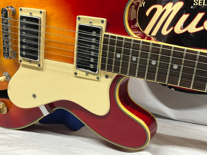 Jay Turser Doublecut Semi-Hollow Body Electric Guitar