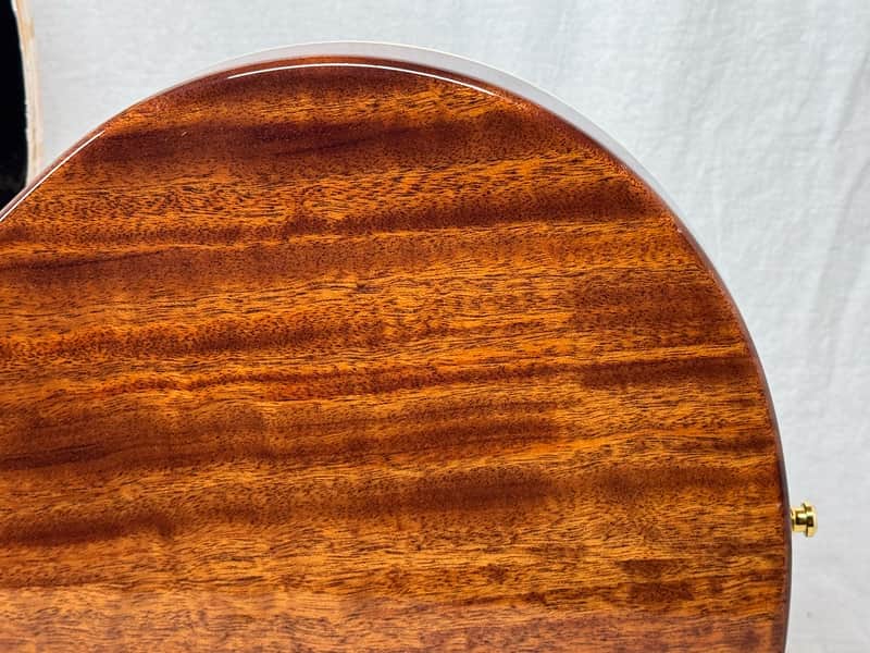 Warmoth Singlecut Guitar by Houston Electric Guitar Jerry DeLue - Image 10