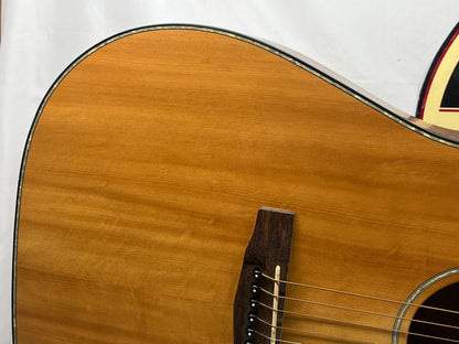 Cort Earth E NS Acoustic Guitar