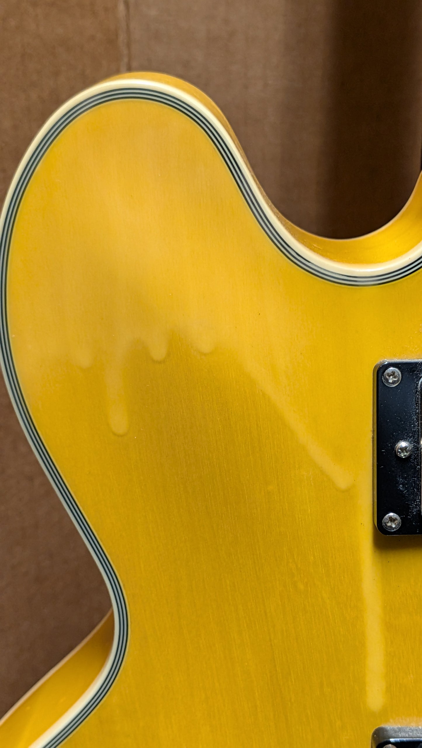 Jay Turser Semi-Hollow Electric Guitar