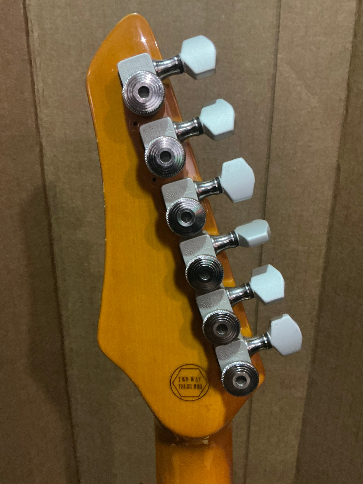 SX T Style Electric Guitar