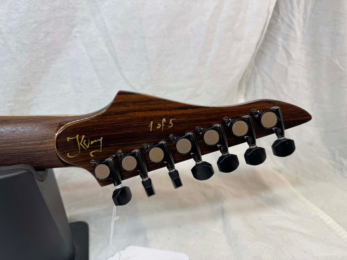ViK Guitars Left-Handed Lefty Nolly's Signature Duality 7 7-string Guitar with Case 2014