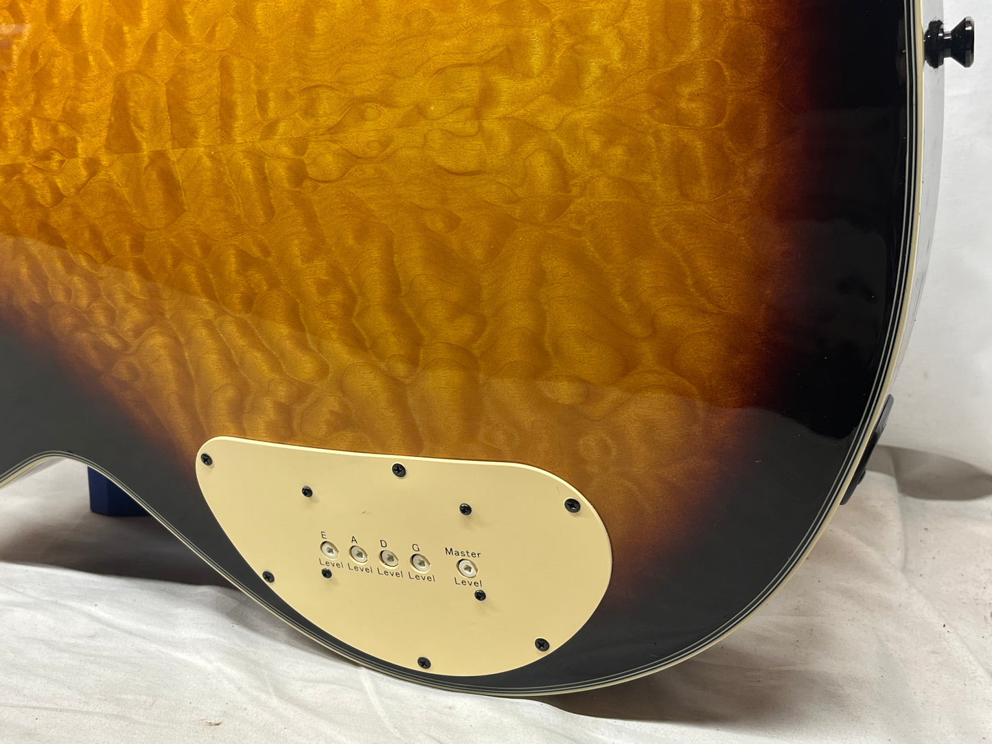 Washburn AB40VSK Singlecut Acoustic Electric Bass