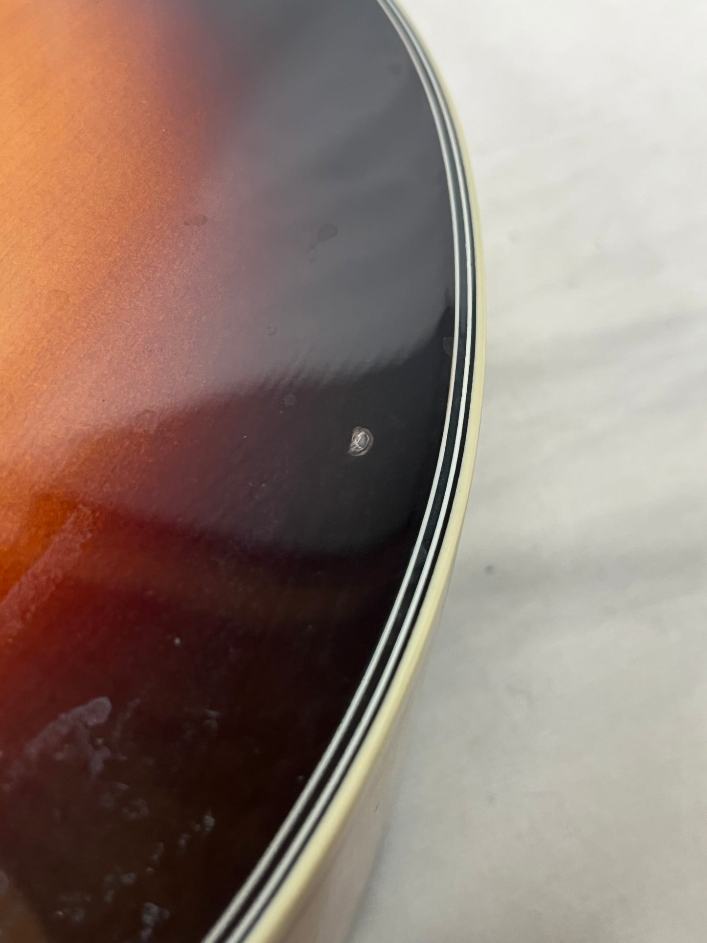 Washburn AB40VSK Singlecut Acoustic Electric Bass