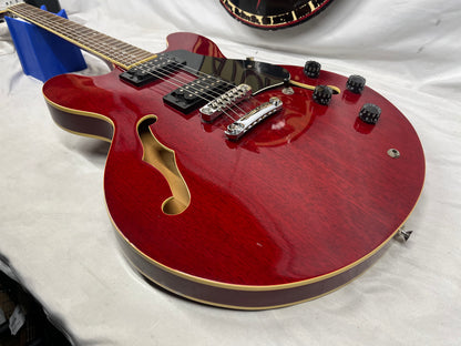 Discovery Semi-Hollow Body Electric Guitar