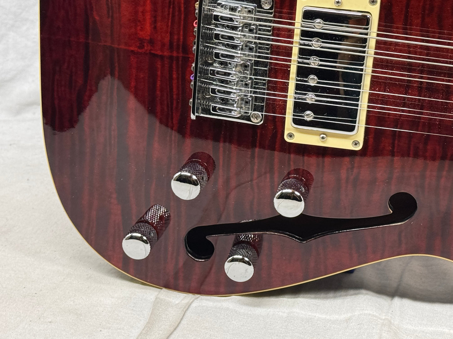 Schecter Diamond Series C/SH-12 Semi-Hollowbody 12-string Guitar with Case 2005