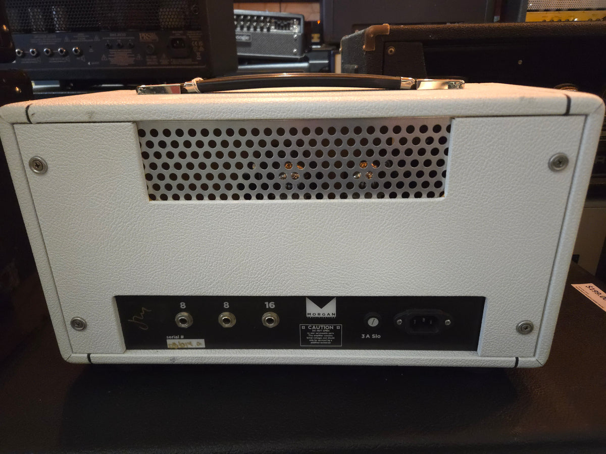 Morgan Amplification RCA35 35W Guitar Head - Local Pickup Only