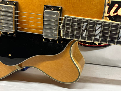 Washburn J-6S Hollow Body Electric Guitar