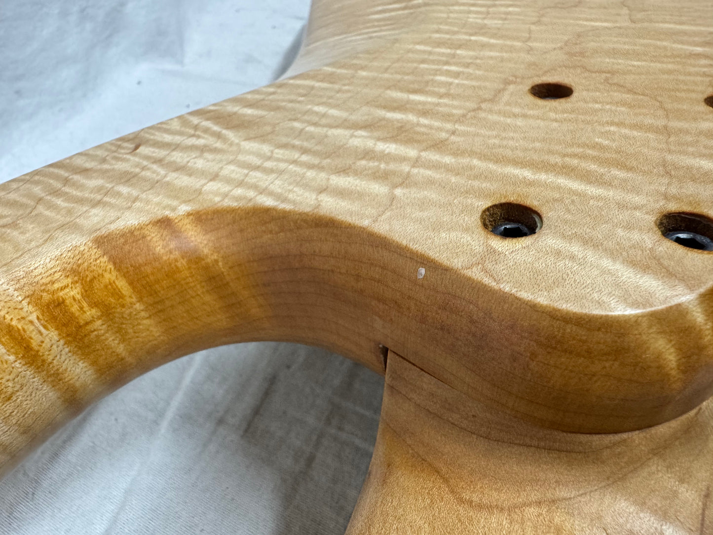 Prat Custom 5-string Bass with Wolfpak Soft Case