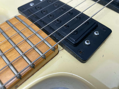 Peavey USA Hydra Doubleneck double neck 12/6 Guitar with Case