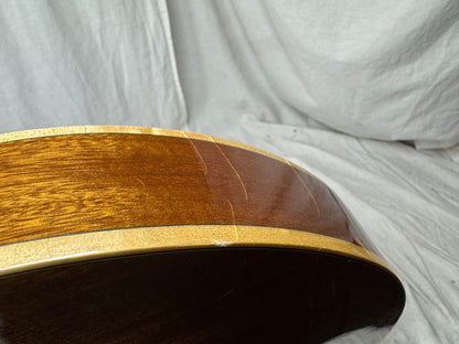 Eastman T185MX-BD t185mx Thinline Semi-Hollowbody Guitar with Case
