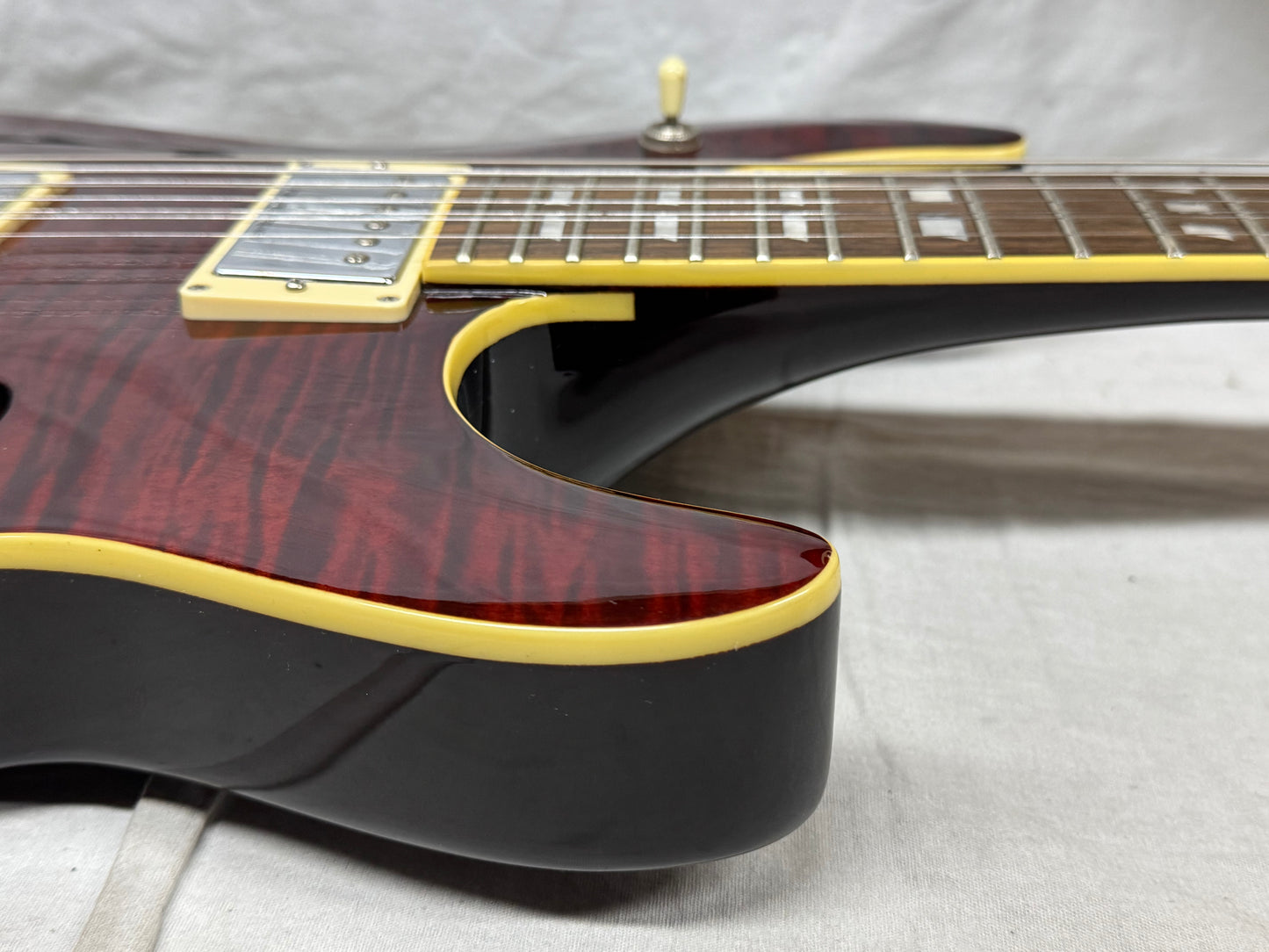 Schecter Diamond Series C/SH-12 Semi-Hollowbody 12-string Guitar with Case 2005