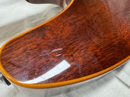 Godin Passion Series RG.2 rg2 rg-2 Guitar 2012