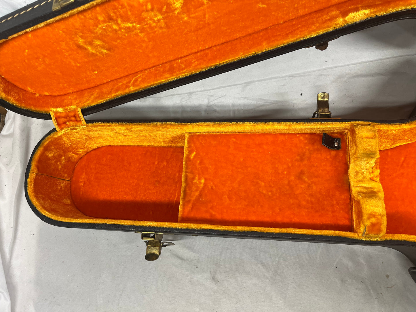Ess & Ess Archtop Guitar Case