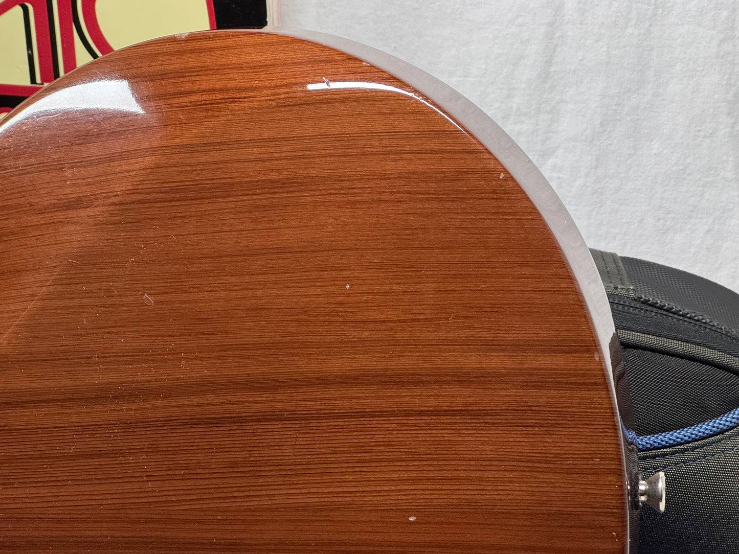 Ronin Limited Build Palus Mourn Singlecut Guitar with Gig Bag