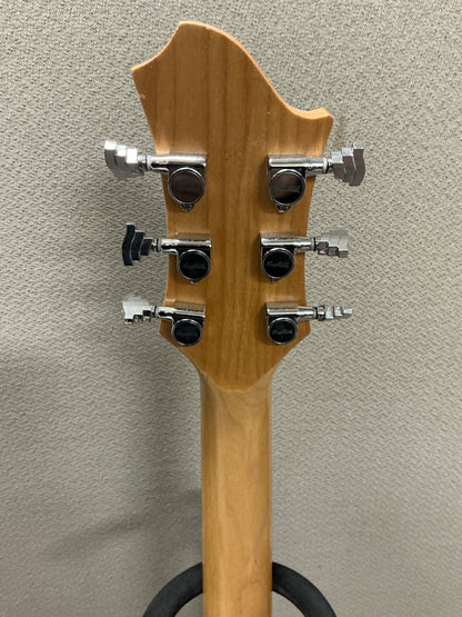 Hagstrom F300 Guitar