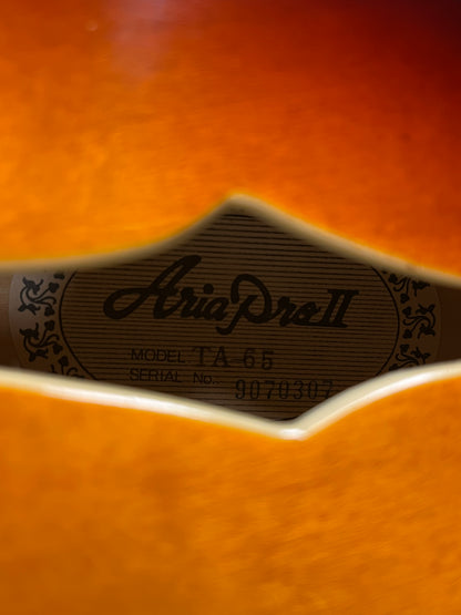 Aria Pro II TA-65 Semi-Hollow Body Electric Guitar