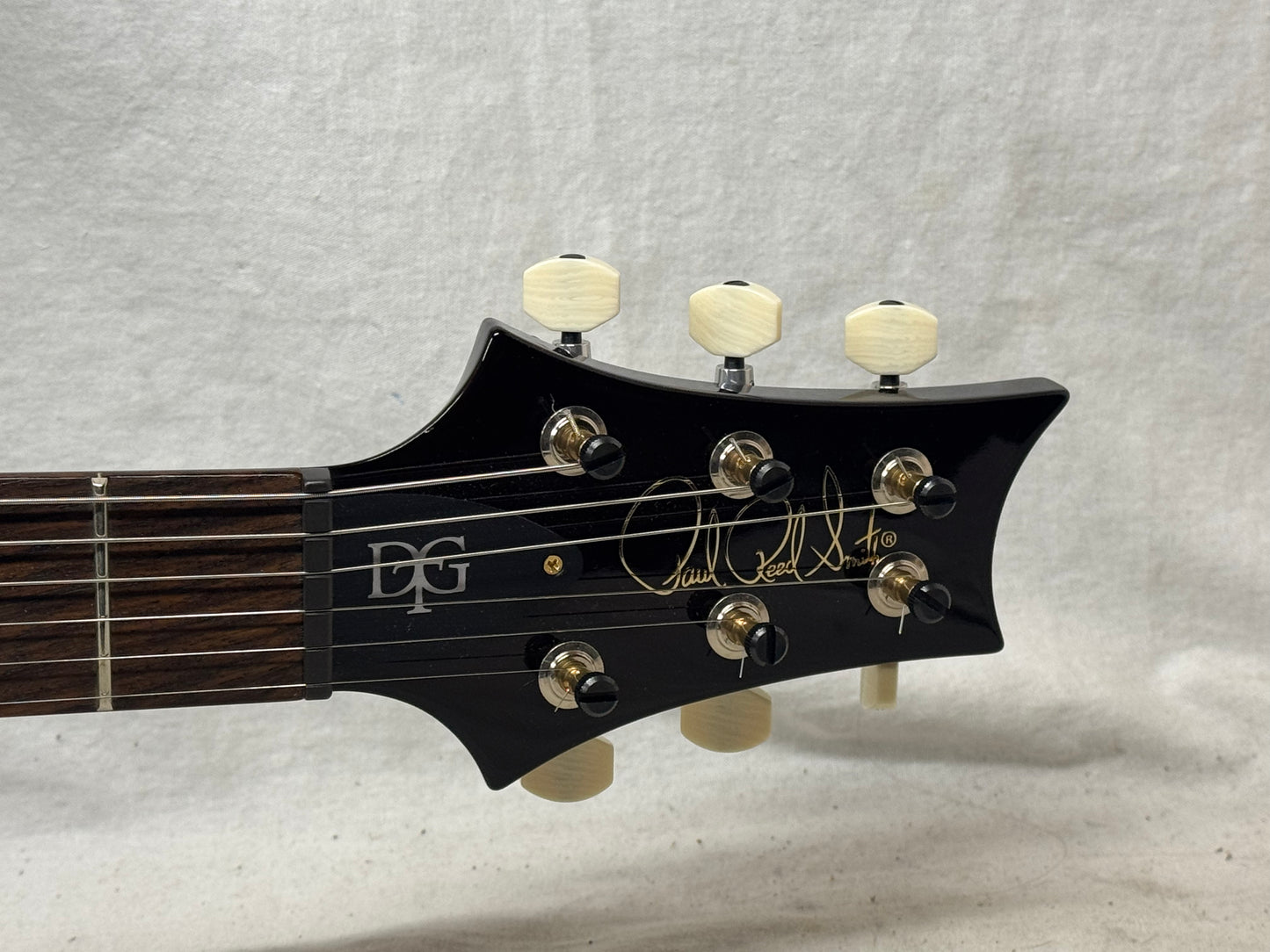 PRS Paul Reed Smith DGT David Grissom Tremolo Birds 10-Top Guitar with Case 2024