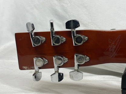 Danville Dobro Resonator Acoustic Guitar