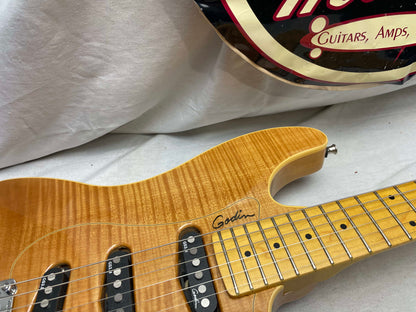 Godin Passion Series RG.3 rg3 S-style Guitar with Gig Bag 2012