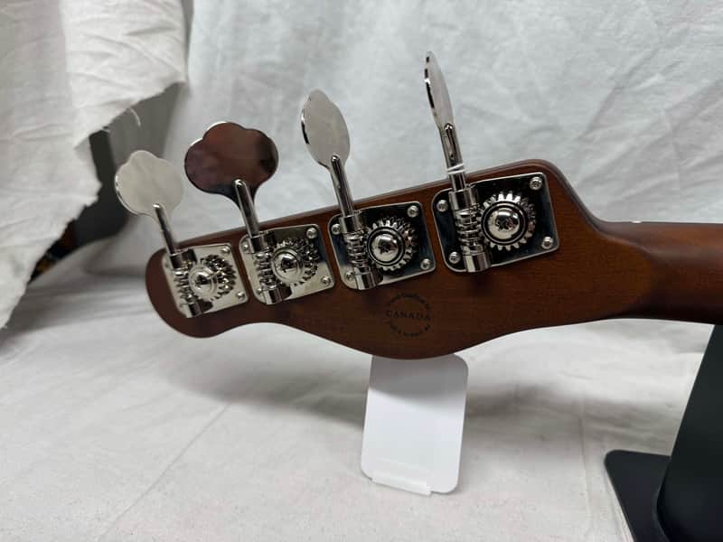 Godin RG-4 rg4 Ultra 4-string Bass - Image 9