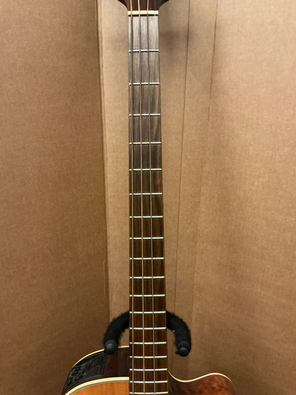 Takamine EGB255SC Acoustic Bass Guitar