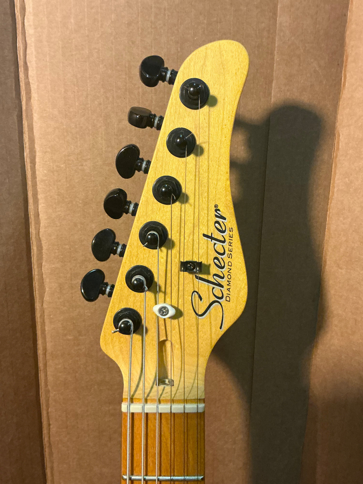 Schecter PT-Pro Electric Guitar