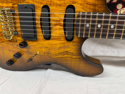 Warmoth S-style HSS Guitar with EMG Pickups by Houston Electric Guitar Jerry DeLue