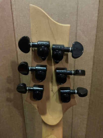 Schecter Damien-FR Electric Guitar