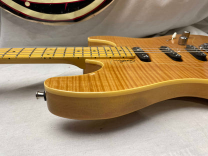 Godin Passion Series RG.3 rg3 S-style Guitar with Gig Bag 2012