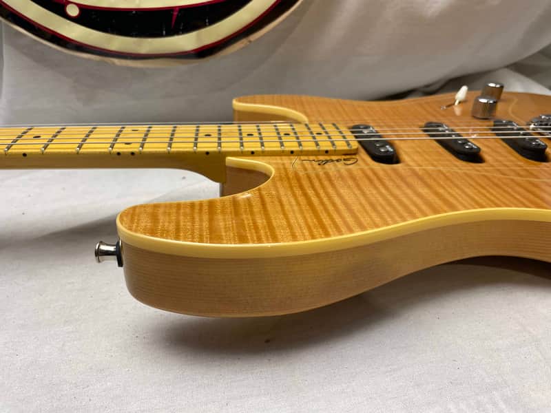 Godin Passion Series RG.3 rg3 S-style Guitar with Gig Bag - Image 14