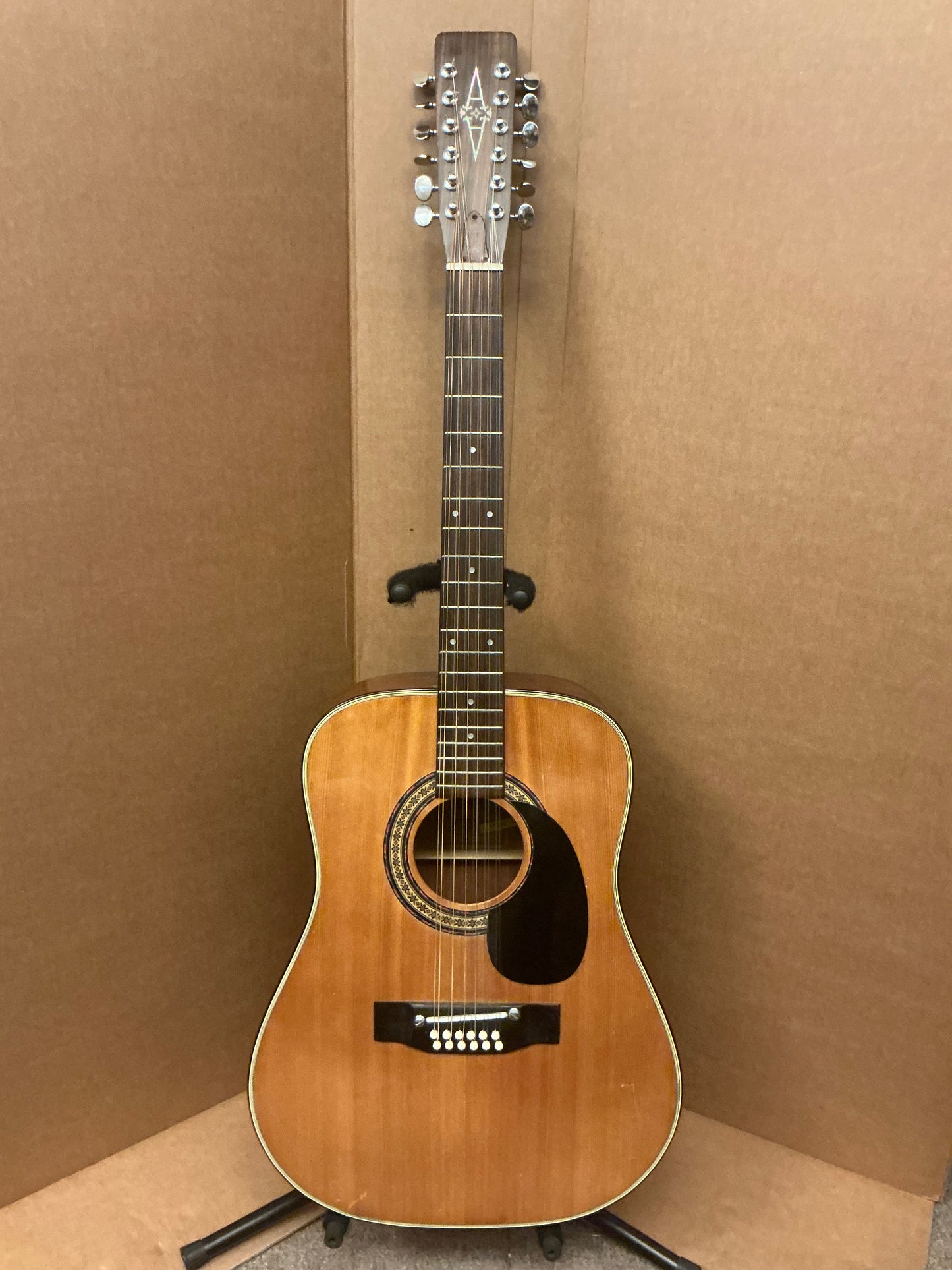 Alvarez 5021 12-String Acoustic Guitar