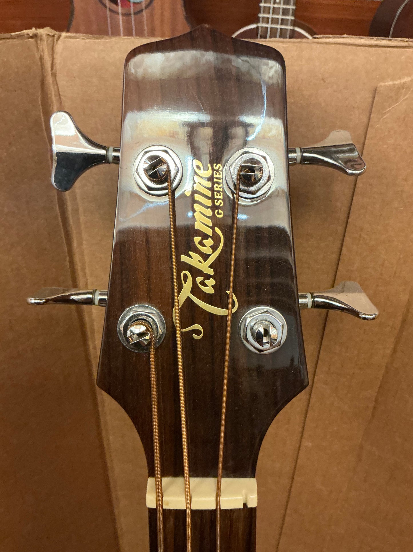 Takamine EGB255SC Acoustic Bass Guitar