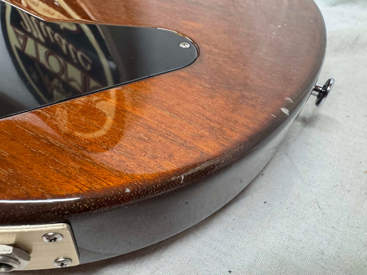 PRS Paul Reed Smith Artist Package Custom Build Paul's Guitar Artist Guitar with Case 2013 - Brazilian Rosewood fingerboard