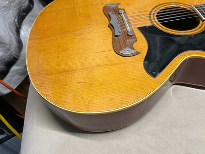 Hohner HG-685 12-string Acoustic Guitar - Local Pickup Only