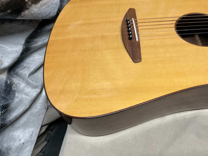 Baden D-Style Rosewood Acoustic Guitar