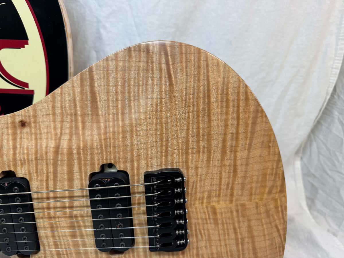 ViK Guitars Left-Handed Lefty Nolly's Signature Duality 7 7-string Guitar with Case 2014