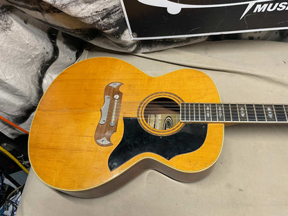 Hohner HG-685 12-string Acoustic Guitar - Local Pickup Only