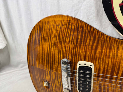 PRS Paul Reed Smith Artist Package Custom Build Paul's Guitar Artist Guitar with Case 2013 - Brazilian Rosewood fingerboard