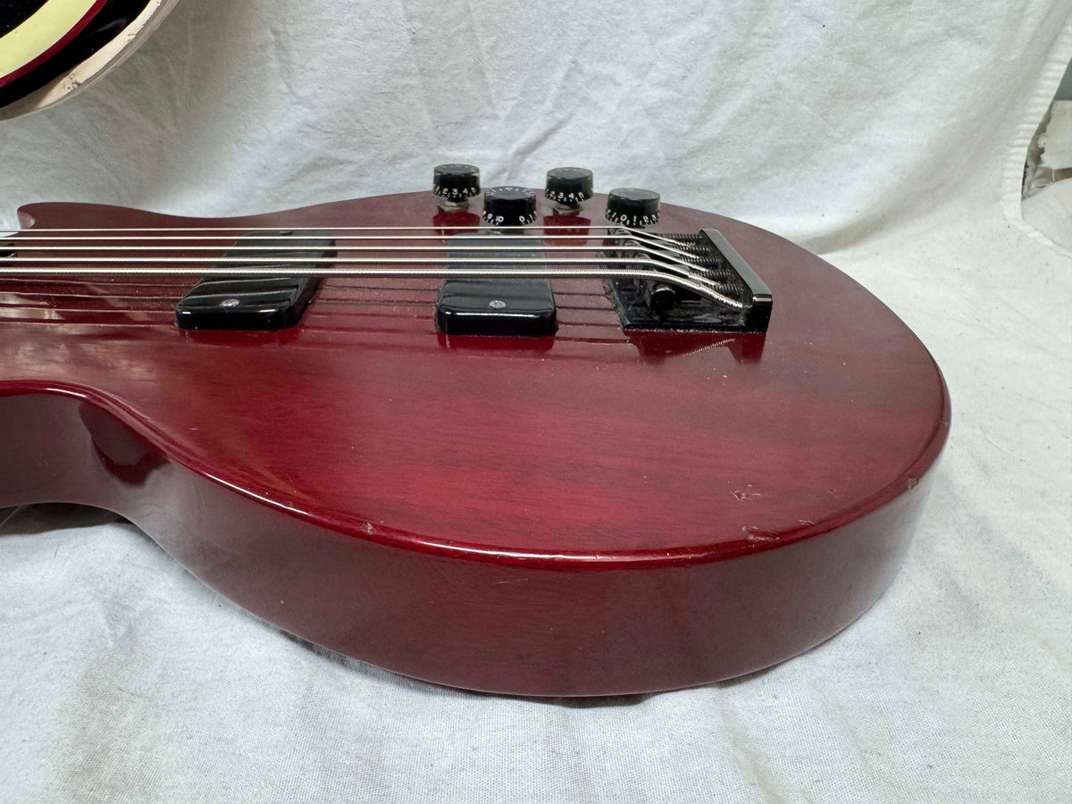 Gibson LPB-5 lpb5 Les Paul Bass 5-string Bass with Case 1993