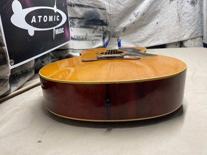 Hohner HG-685 12-string Acoustic Guitar - Local Pickup Only